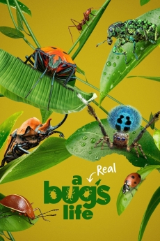 A Real Bug's Life 2024 poster