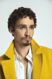 Robert Sheehan photo